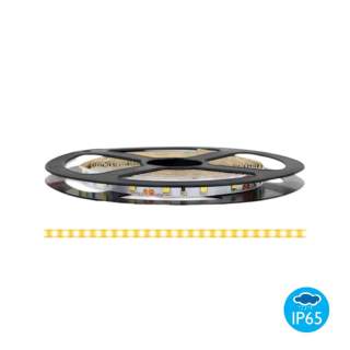 LED trak 12V 300 LED 4,8W/m IP65 2700K 5m